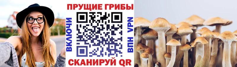 Псилоцибиновые грибы MAGIC MUSHROOMS  Купить где  Железноводск 